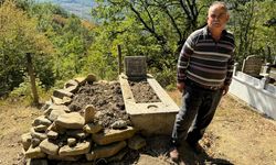 Karabük’te Ayı Mezarlığa Girdi: Mezarları Kazdı