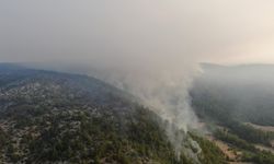 Kastamonu Araç’taki Orman Yangını Üçüncü Gününde Havadan Görüntülendi
