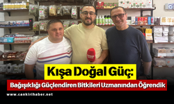 Kışa Doğal Güç: Bağışıklığı Güçlendiren Bitkileri Uzmanından Öğrendik