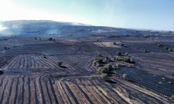 Orman Yangınlarının Ardından Doğa Kendini Yeniliyor Ama Planlı Müdahale Önemli