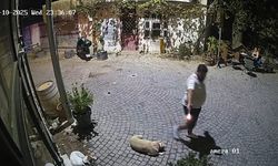 Urla’da Silahlı Saldırı: Kadın Hayatını Kaybetti, Şüpheli Ölü Bulundu