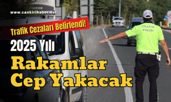 2025 Yılı Trafik Cezaları Belirlendi! Rakamlar Cep Yakacak