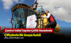 Çankırı Valisi Taşolar Çeltik Hasadında Çiftçilerle Bir Araya Geldi