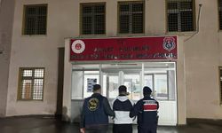 Bolu Jandarması Kaçak Şahsı Adresinde Yakaladı