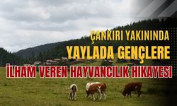 Çankırı Yakınında Yaylada Gençlere İlham Veren Hayvancılık Hikayesi