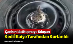Çankırı’da Stepneye Sıkışan Kedi İtfaiye Tarafından Kurtarıldı