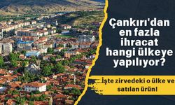 Çankırı'dan en fazla ihracat hangi ülkeye yapılıyor? İşte zirvedeki o ülke ve satılan ürün!