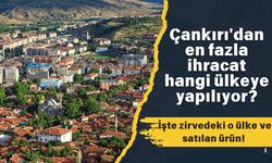 Çankırı'dan en fazla ihracat hangi ülkeye yapılıyor? İşte zirvedeki o ülke ve satılan ürün!