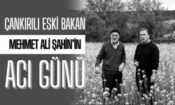 Çankırılı Eski Bakan Mehmet Ali Şahin’in Acı Günü