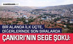 Çankırı’nın SEGE Şoku: Bir Alanda İlk Üçte, Diğerlerinde Son Sıralarda