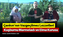 Çankırı’nın Vazgeçilmez Lezzetleri: Kuşburnu Marmeladı ve Elma Kurusu