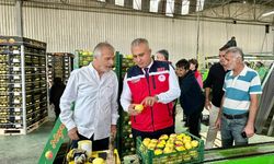Hatay’da Narenciye Hasadı Başladı Limon İhracatında Sıkı Denetim