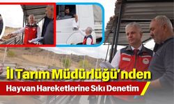 İl Tarım Müdürlüğü’nden Hayvan Hareketlerine Sıkı Denetim