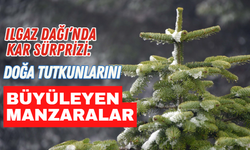 Ilgaz Dağı’nda Kar Sürprizi: Doğa Tutkunlarını Büyüleyen Manzaralar