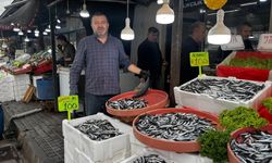 Karadeniz’de hamsi bolluğu Alaplı tezgahlarına yansıdı