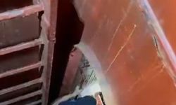 Kocaeli Safiport Limanı’nda İşçi Ambar Düşmesiyle Yaralandı