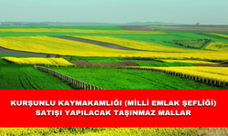 KURŞUNLU KAYMAKAMLIĞI (MİLLİ EMLAK ŞEFLİĞİ) SATIŞI YAPILACAK TAŞINMAZ MALLAR