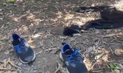 Manavgat’ta 5 Yıldızlı Otele Motosikletli Saldırı Kamerada