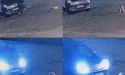 Mersin Anamur’da araç altında kalan yavru kangal telef oldu