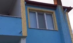Sürüler Halinde Ortaya Çıktılar! Bartın’da Kokarca İstilası Büyüyor
