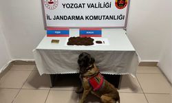 Yozgat’ta Şüphelinin Araç Kontrolünde Bonzai Ele Geçirildi