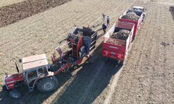 6 Aylık Emek Toprağın Altından Çıktı!