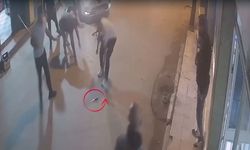 Aile Kavgası Kanlı Bitti: 1 Ölü, 2 Ağır Yaralı