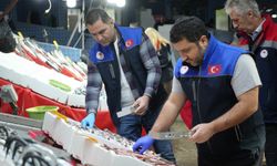 Balık Denetimlerinde Rekor Ceza! 10 Ayda 3 Binin Üzerinde Kontrol Yapıldı