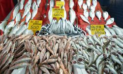 Balık Hali'nde Fiyat Şoku! Sezon Ortasında Etiketler Neden Bu Kadar Yüksek?