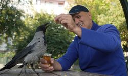 “Bana Bir Milyon Verseler Satmam” — Kaptan ve Kargasının Sıcak Dostluğu