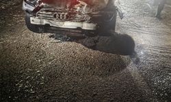 Belediye Başkanı’nın Aracı Domuz Sürüsüne Çarptı