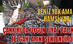 DENİZ YOK AMA HAMSİ VAR; ÇANKIRI’DA UYGUN FİYAT BALIK TEZGAHLARINI ŞENLENDİRDİ