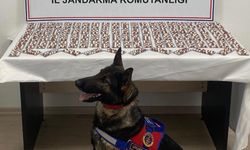 Binlerce Sentetik Ecza Hapı Ele Geçirildi: Şüpheli Tutuklandı