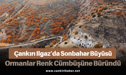 Çankırı Ilgaz’da Sonbahar Büyüsü: Ormanlar Renk Cümbüşüne Büründü