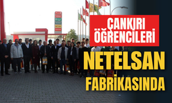 Çankırı Öğrencileri Netelsan Fabrikasında