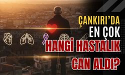 Çankırı’da En Çok Hangi Hastalık Can Aldı?