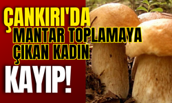 Çankırı'da Mantar Toplamaya Çıkan Kadın Kayıp!