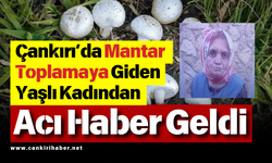 Çankırı’da Mantar Toplamaya Giden Yaşlı Kadından Acı Haber Geldi