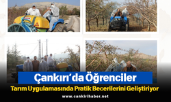 Çankırı’da Öğrenciler Tarım Uygulamasında Pratik Becerilerini Geliştiriyor