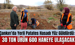 Çankırı’da Yerli Patates Hasadı Yüz Güldürdü: 30 Ton Ürün 600 Haneye Ulaşacak