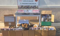 Kaçak Sigara Operasyonu: 480 Bin Doldurulmuş Makaron Ele Geçirildi