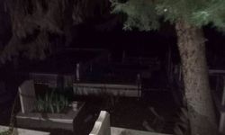 Kahreden Olay! Babasının Mezarı Başında Ölü Bulundu