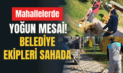 Mahallelerde Yoğun Mesai! Belediye Ekipleri Sahada