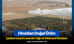Okuldan Doğal Ürün: Çankırı Lisesi Lavanta Yağı ve Hidrosol Üretiyor