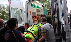 Ormanda Mantar Toplayan İmam Ayının Saldırısına Uğradı