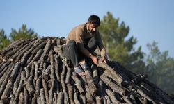 Ormanlık Bölgede Çadırda Yaşam Torlukçuların 6 Aylık Kömür Mücadelesi