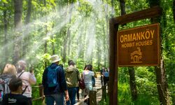 Ormanya’da Rekor! 2 Milyonun Üzerinde Ziyaretçi Ağırladı!