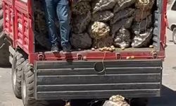 Patates Protestosu Tartışma Yarattı