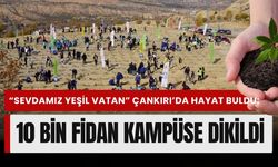 “Sevdamız Yeşil Vatan” Çankırı’da Hayat Buldu: 10 Bin Fidan Kampüse Dikildi