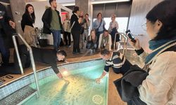 Şifa Turizminin Yeni Adresi Türkiye’den